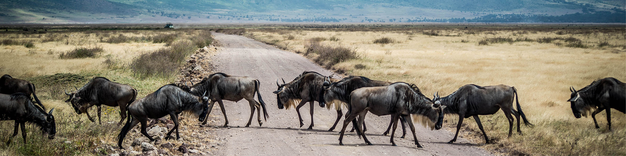 Serengeti - Ngorongoro Krater 3T2N